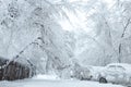 Snow blockages. The trees broke under the weight of wet snow and blocked the road between houses and crushed cars. Image