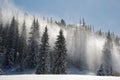 Snow Blows Through Trees