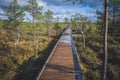 Snow on the Boardwalk. Walkway in forest, early springs in reserve.