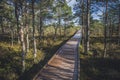 Snow on the Boardwalk. Walkway in forest, early springs