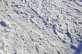 Snow with boot tracks and traces of the tread on it Royalty Free Stock Photo