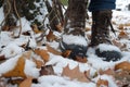 snow boots stepping on a carpet of snowy leaves under a halfbare tree Royalty Free Stock Photo