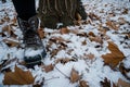 snow boots stepping on a carpet of snowy leaves under a halfbare tree Royalty Free Stock Photo