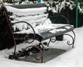 A snow-bound bench is in a garden