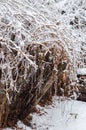 Snow branches on the fence. Picturesque winter landscape.