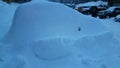 Snow buried car