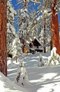 Snow cabin Royalty Free Stock Photo