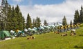 Snow Cannons In Summer, Austria