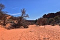 Snow Canyon State Park Red Sands hiking trail Cliffs National Conservation Area Wilderness St George, Utah, United States.