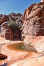 Snow Canyon State Park Red Sands views from hiking trail Cliffs National Conservation Area Wilderness St George, Utah USA