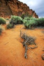 Snow Canyon - Utah