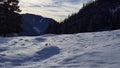 a snow caped grassland in the winter time