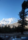 Snow-Capped Canadian Mountain