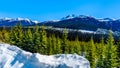 The snow capped Coast Mountains along Highway 99in BC Canada Royalty Free Stock Photo