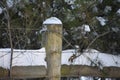 Snow capped fence post