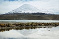 Snow capped high mountains reflected in Lake Chungara Royalty Free Stock Photo