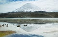 Snow capped high mountains reflected in Lake Chungara Royalty Free Stock Photo