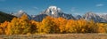 Snow Capped Mount Moran Royalty Free Stock Photo