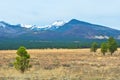 Snow capped mountain in Arizona. Royalty Free Stock Photo
