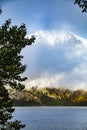 snow capped mountain and autumn foliage in Grand Teton Royalty Free Stock Photo