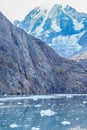 Snow capped mountain in Glacier Bay, Alaska Royalty Free Stock Photo