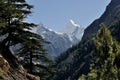 Snow capped mountain peak Sudarshan of Gangotri National Park