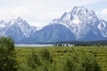 Snow capped mountains above a clear blue lake in Yellowstone. Royalty Free Stock Photo