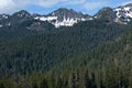 Snow-Capped Mountains Above Dense Evergreen Forest