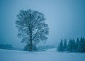 Snow-capped mountains in corpses, snow falls on trees, small village Royalty Free Stock Photo