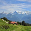 Snow capped mountains Eiger, Monch and Jungfrau, view from Mount Royalty Free Stock Photo