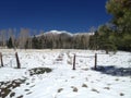 Snow capped mountains and alpine landscape in Arizona Royalty Free Stock Photo