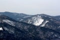 Snow capped mountains and taiga Royalty Free Stock Photo