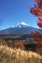 Snow capped mtfuji tokyo s tallest volcano amidst autumn red trees, picturesque nature landscape