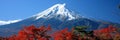 Snow capped mtfuji, tokyo s tallest volcano with autumn red trees sacred symbol nature landscape