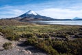 Parinacota Volcano reflected in Lake Chungara, Chile Royalty Free Stock Photo