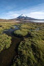 Parinacota Volcano reflected in Lake Chungara, Chile Royalty Free Stock Photo