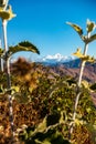 Snow-capped peaks of Bandarpoonch and Kalanaag Glacier in the majestic Himalayas, Uttarakhand, India