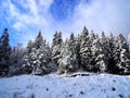 Winter in Bosnia 3