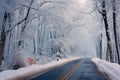 snow-capped trees lining a wintry unplowed road Royalty Free Stock Photo