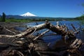 Snow capped Villarrica volcano. Nature of Chile. Pucon Royalty Free Stock Photo