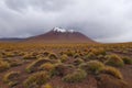 Snow-capped volcanoes and desert landscapes in the highlands of Bolivia. Andean landscapes of the Bolivia Plateau