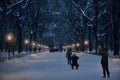 Snow at Central park Royalty Free Stock Photo