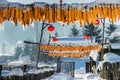 Snow in China Royalty Free Stock Photo