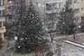 Snow in the city. New snowfall with big snowflakes in the city. Winter snow. Snowflake background. blizzard. Royalty Free Stock Photo
