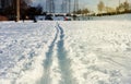 Snow in city park with footprints winter concept on frosty sunny day