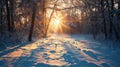 snow in a clearing in the rays of the sun falling from behind the trees Royalty Free Stock Photo