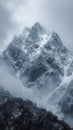Snow cloaked mountain stands tall beneath a moody, overcast sky