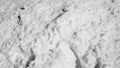 Snow close up black and white Royalty Free Stock Photo