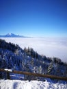 snow cloud winter sky blue sun shining tree forest x-mas