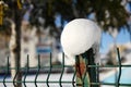 Snow cluster accumulating on the garden iron fence